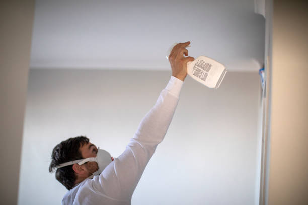 Best Water Damage Restoration  in East Highland Park, VA