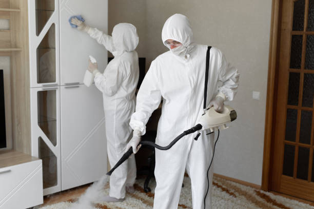 Best Commercial Mold Removal  in East Highland Park, VA