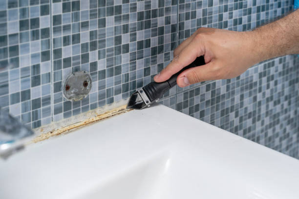 Best Local Mold Removal Service  in East Highland Park, VA